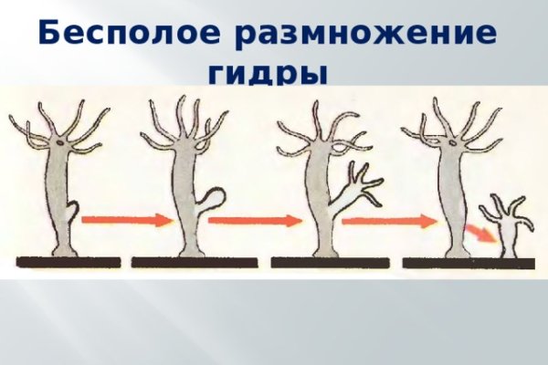 Кракен площадка зеркало