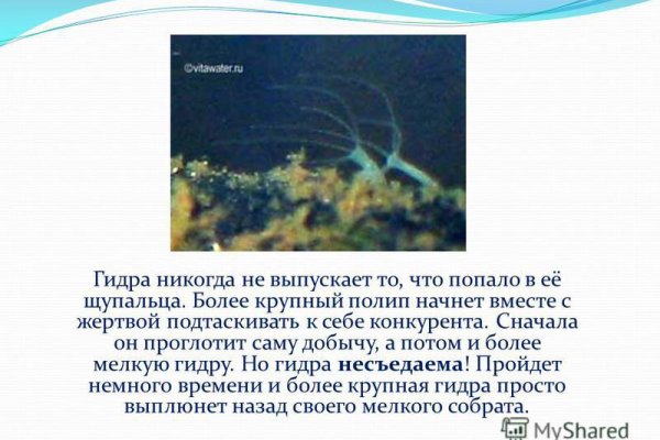 Как восстановить страницу на кракене