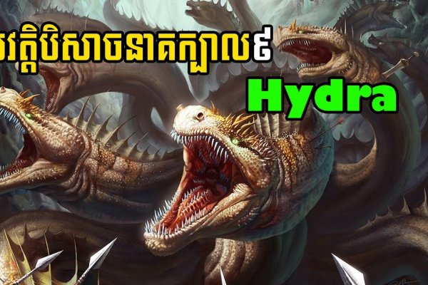 Kraken 18at