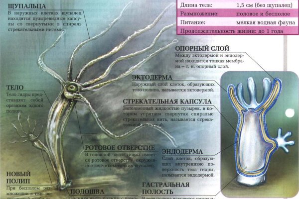 Кракен магазин зеркало