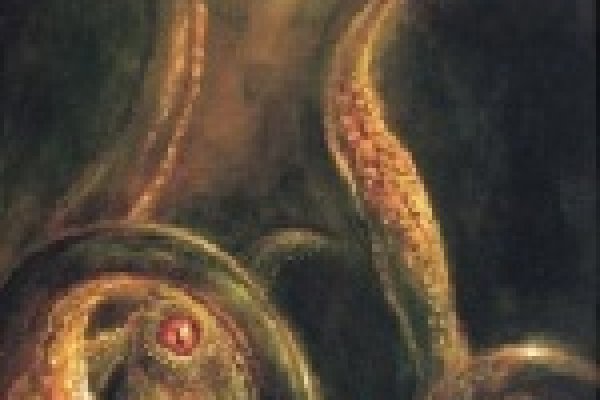 Kraken onion сайта
