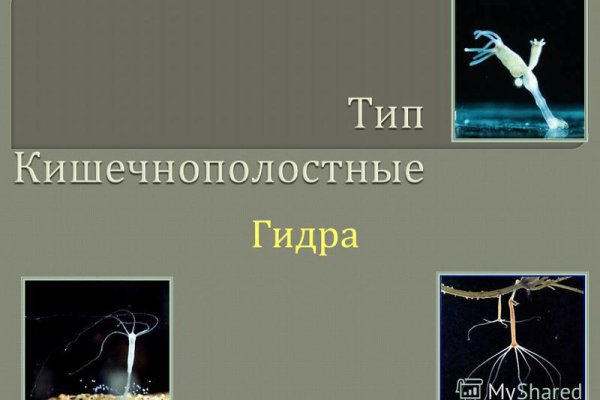 Ссылка на кракен официальный