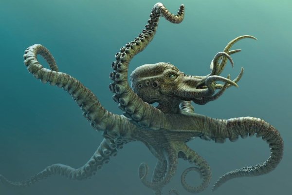 Kraken17at