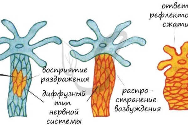 Кракен торговая площадка