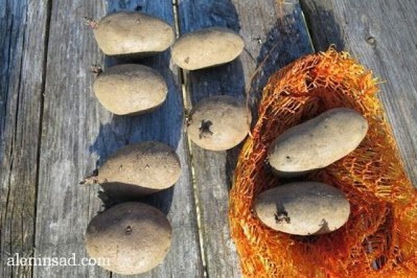 Ссылка на кракен не работает