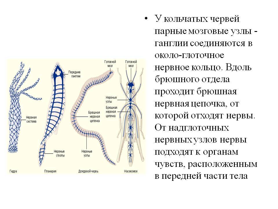 Kraken darknet зеркала кракен обход