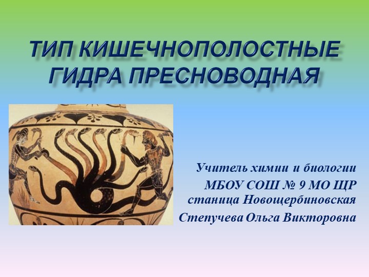 Кракен шоп что это