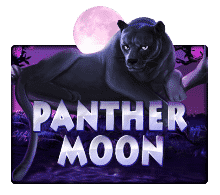 ทดลองเล่นสล็อตฟรี เกม Panther Moon เครดิตฟรี จากค่าย JOKER SLOT