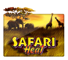 ทดลองเล่นสล็อต JOKER เกม Safari Heat เครดิตฟรี จากค่าย JOKER123
