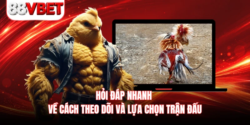 Hỏi đáp nhanh về cách theo dõi và lựa chọn trận đấu