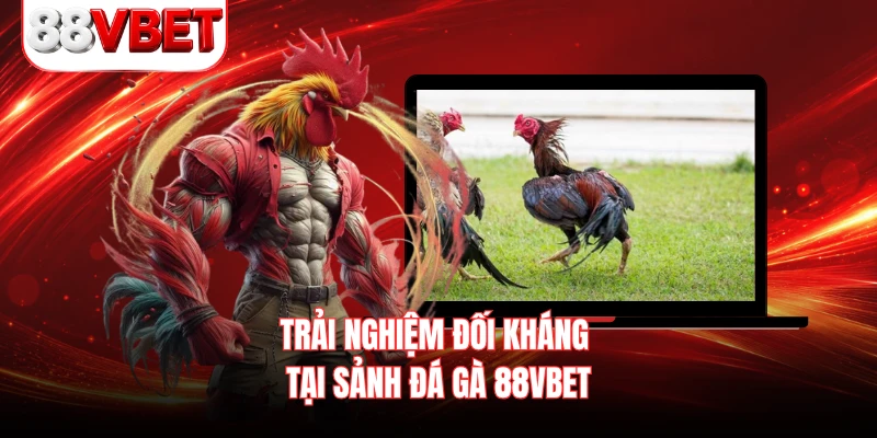 Trải nghiệm đối kháng tại sảnh đá gà 88VBET
